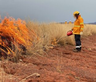 Suppress Wildfire Training