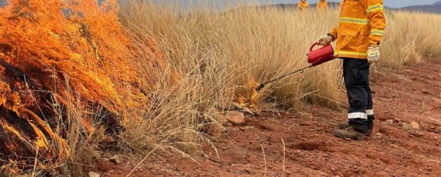 Suppress Wildfire Training