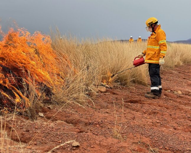 Suppress Wildfire Training