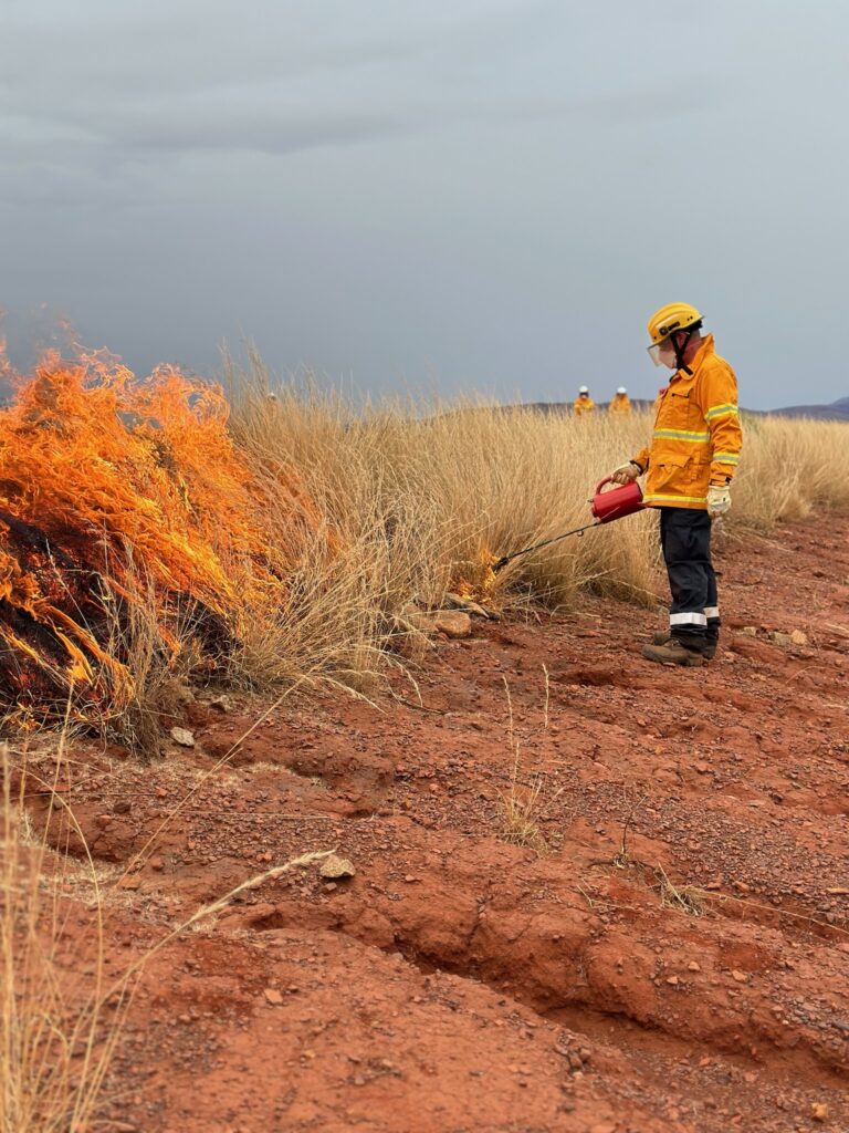 Suppress Wildfire Training