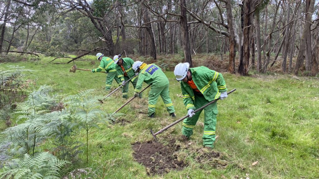 Respond to Wildfire Training & Prevent Injury