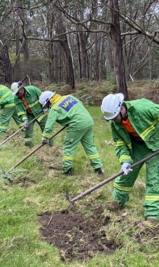 Respond to Wildfire Training & Prevent Injury