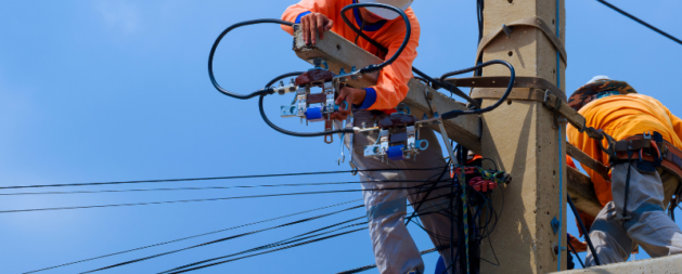 Perform Pole Top Rescue course